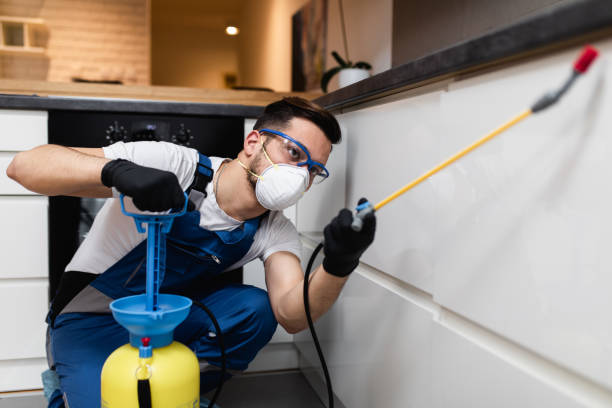 Best Commercial Pest Control Services  in South Henderson, NC