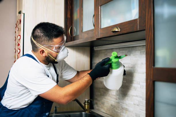 Best Affordable Pest Control Services  in South Henderson, NC