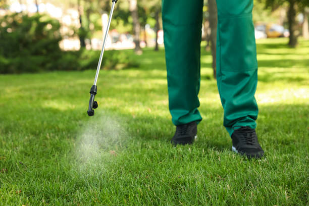 Best Emergency Pest Control  in South Henderson, NC