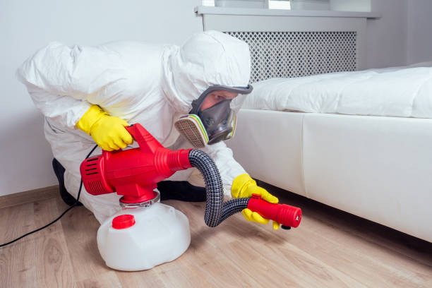 Best Residential Pest Control  in South Henderson, NC